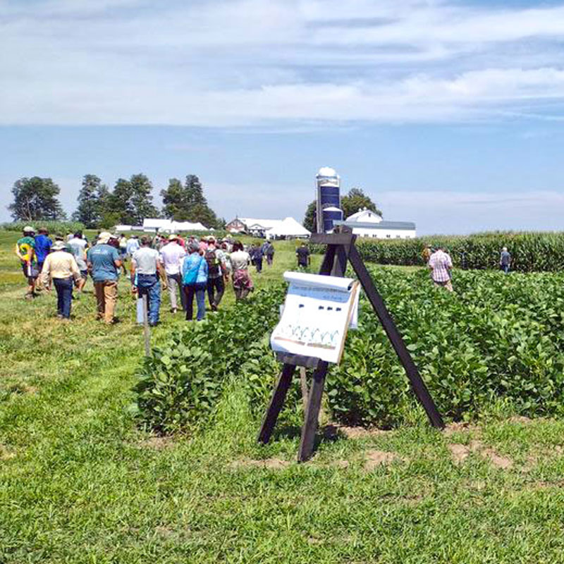 2022 soybean field day