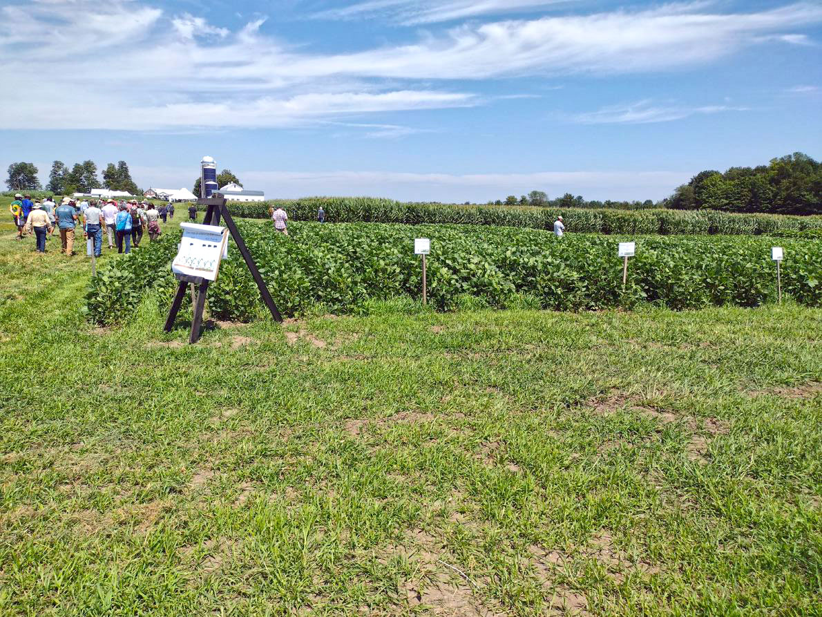 2022 soybean field day