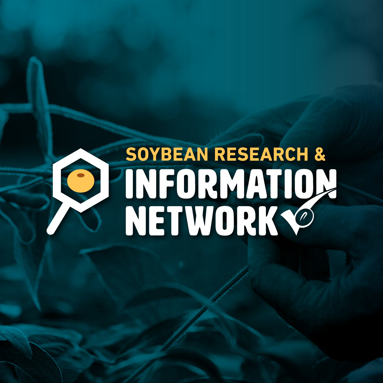 Soybean Research & Information Network